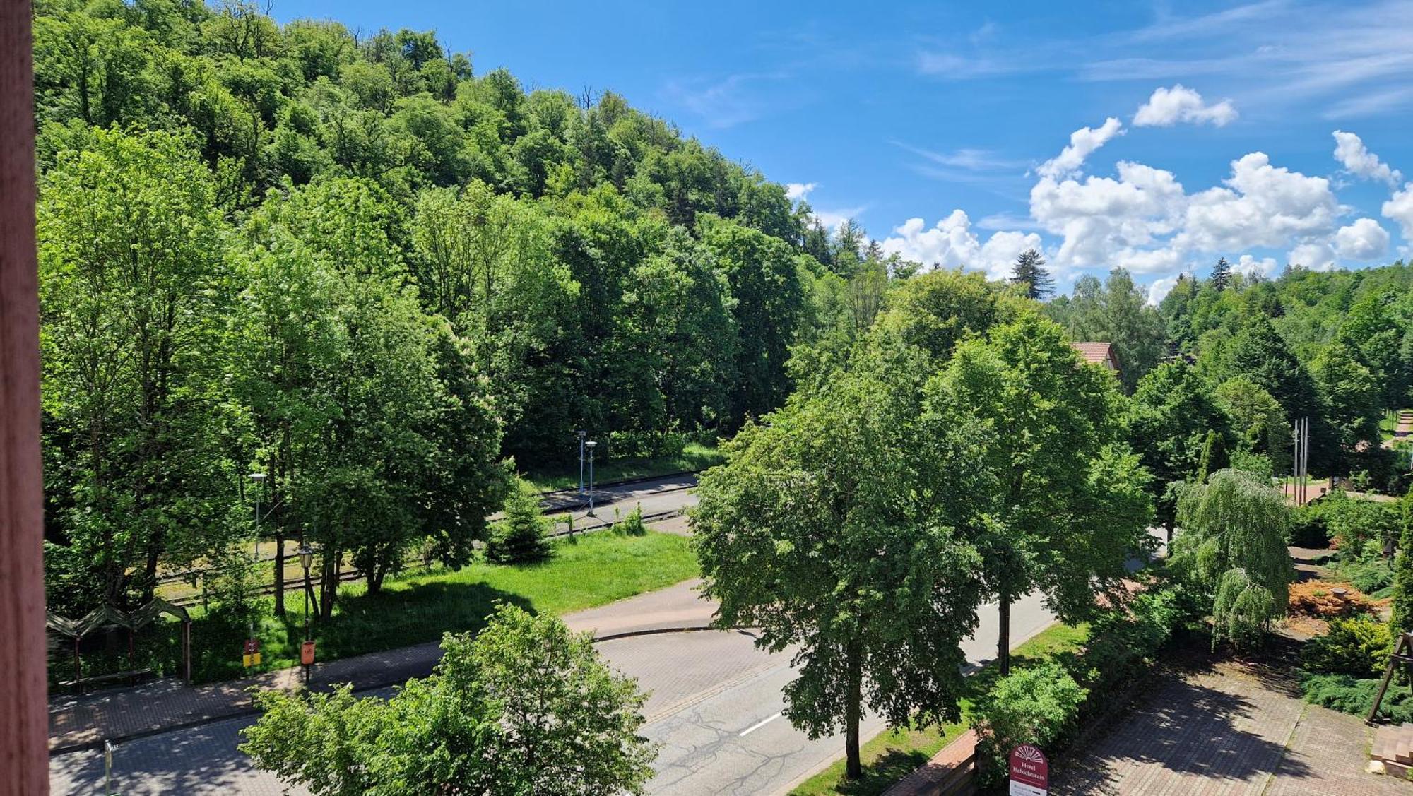 Hotel Habichtstein Alexisbad Esterno foto